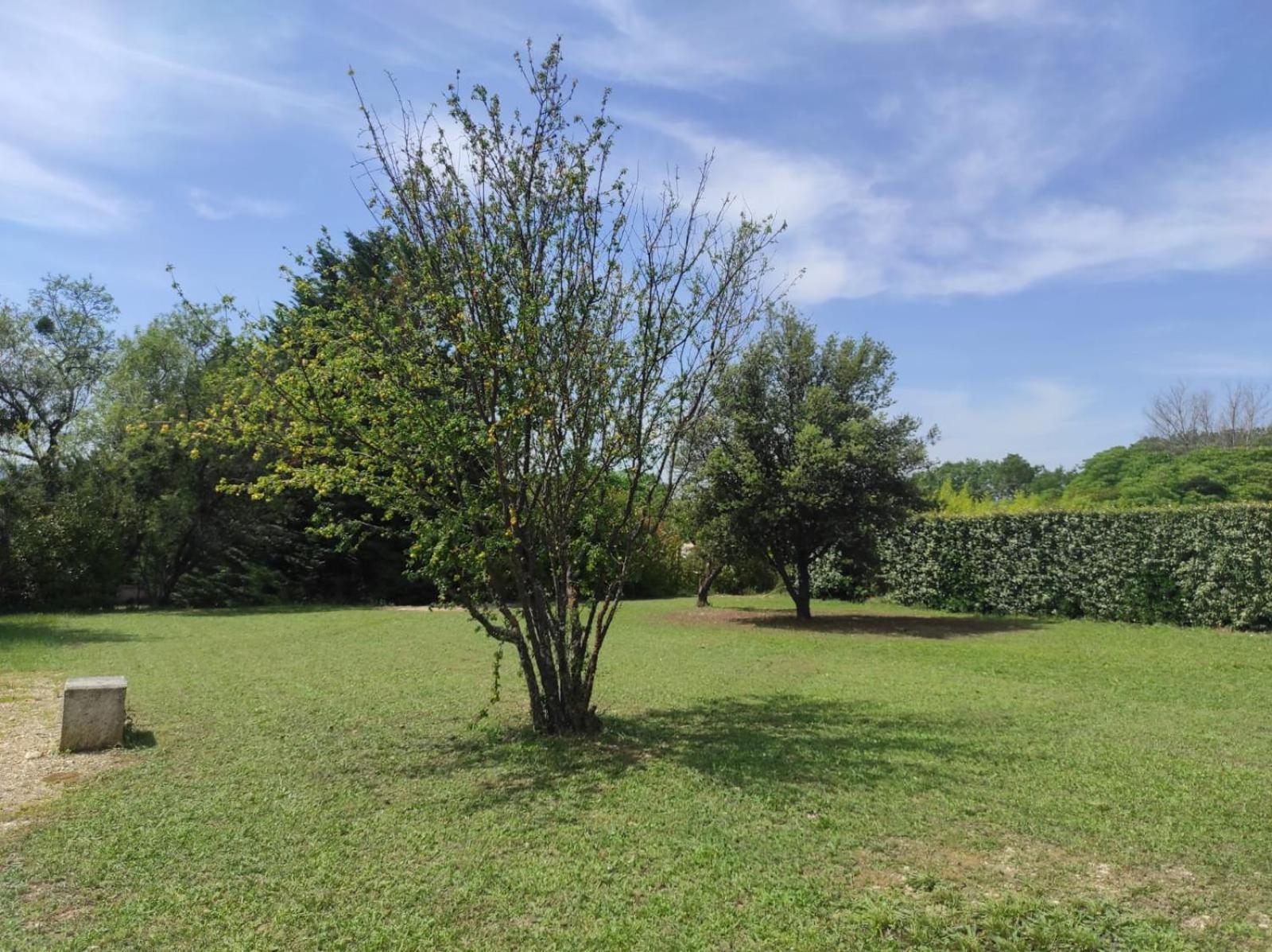Villas De La Ferme Du Gros Noyer Malaucène Εξωτερικό φωτογραφία