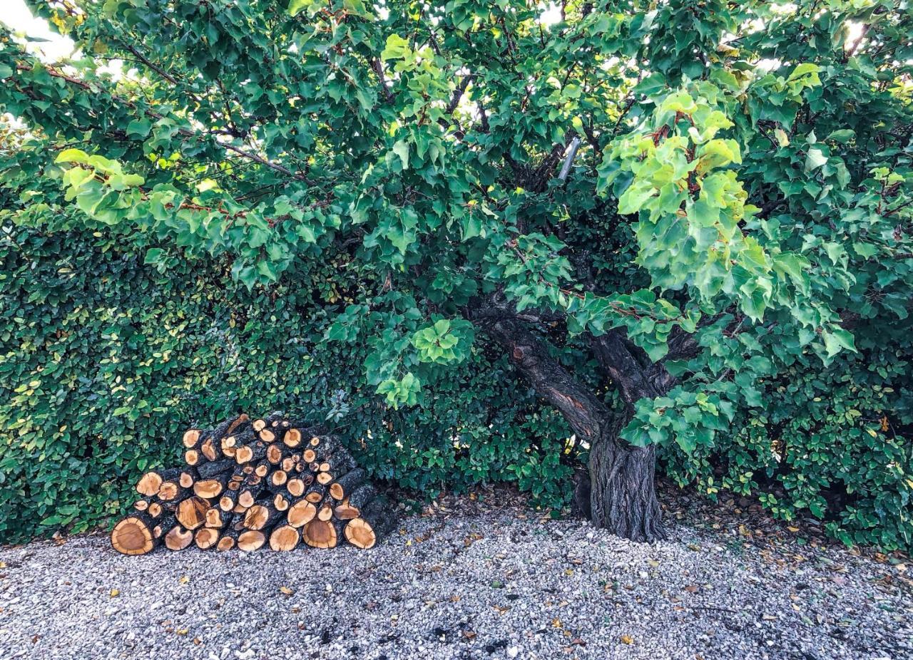 Villas De La Ferme Du Gros Noyer Malaucène Εξωτερικό φωτογραφία